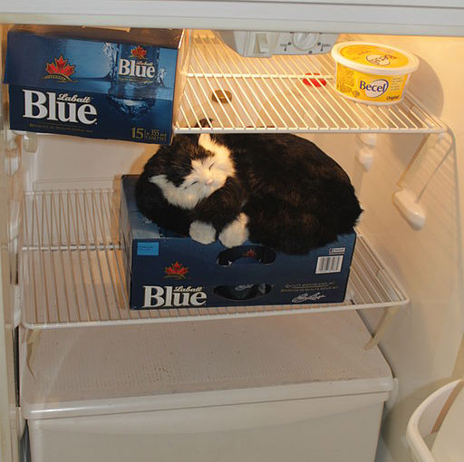 Cat_guarding_the_beer_fridge_Goon_(Box_Wine)_and_Beer_Mix_Goon_Recipe